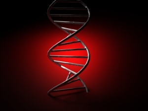 DNR užkoduotą informaciją gali pakeisti atsitiktinės mutacijos. sxc.hu nuotr.
