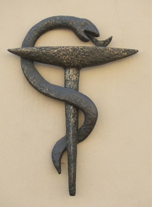 Rytų filosofijoje gyvatė - grožio ir išminties simbolis. sxc.hu nuotr.