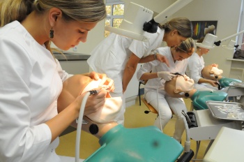VU odontologijos specialybės IV kurso studenčių komanda, pristačiusi projektą „Vilniaus „Atgajos“ specialiosios mokyklos moksleivių burnos higienos gerinimas“, norėjo paskatinti studentus pasijusti atsakingais piliečiais. P.Katausko nuotr.