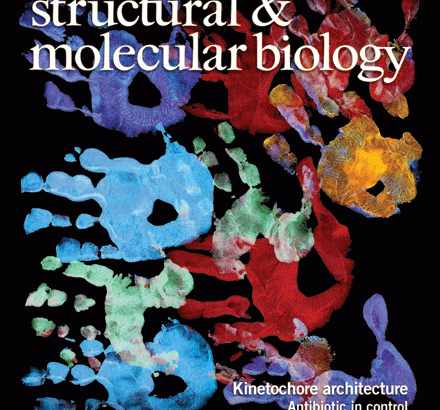 Žurnalas „Nature Structural & Molecular Biology“ paskelbė grupės VU mokslininkų, dirbančių epigenetikos srityje, straipsnį. Nature.com iliustracija
