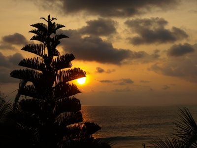 Naujųjų metų išvakarės Kovalamo paplūdimyje. Kerala, Indija (2011 m)i