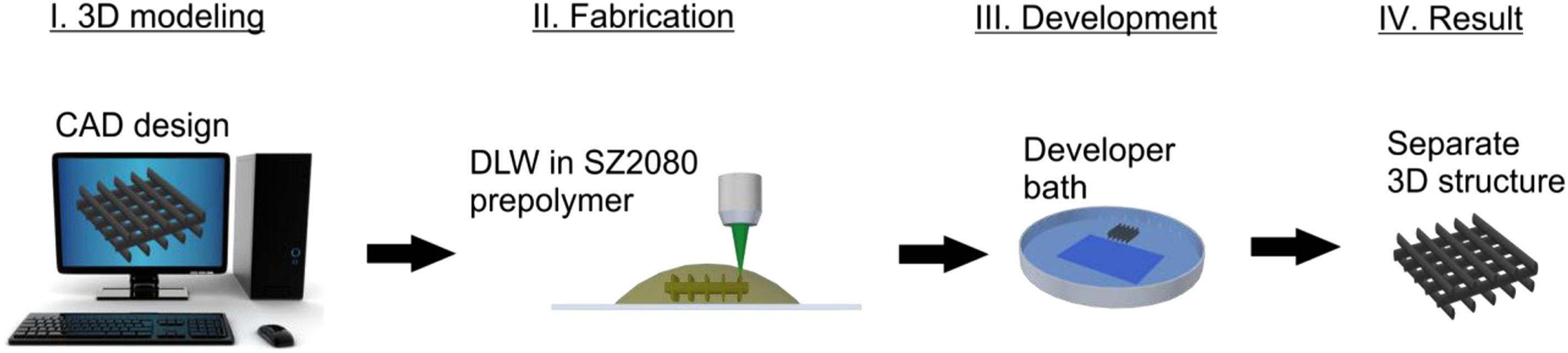 Darinių formavimo tiesioginio lazerinio rašymo būdu žingsniai: I–modeliavimas, II–formavimas, III–ryškinimas, IV–3D mikrostruktūrizuotas karkasas iš SZ2080 biologiškai suderinamos medžiagos.